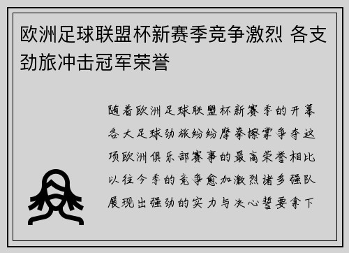 欧洲足球联盟杯新赛季竞争激烈 各支劲旅冲击冠军荣誉