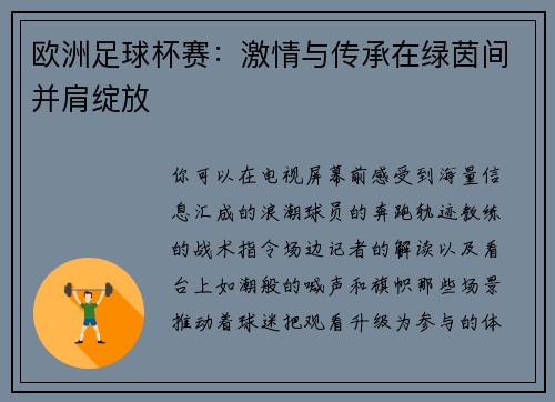 欧洲足球杯赛：激情与传承在绿茵间并肩绽放