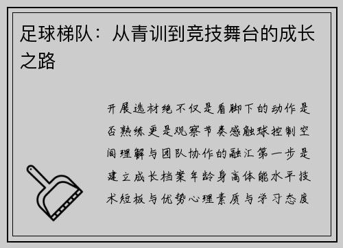 足球梯队：从青训到竞技舞台的成长之路